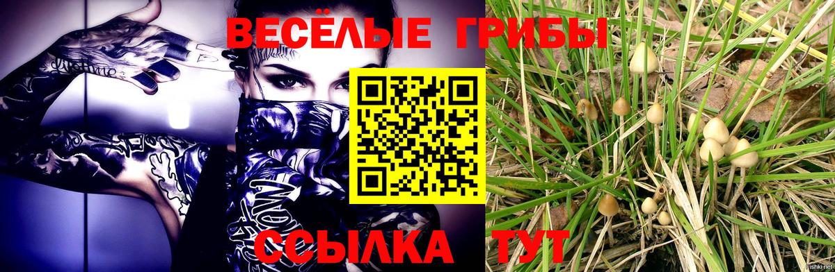 Галлюциногенные грибы GOLDEN TEACHER Комсомольск-на-Амуре